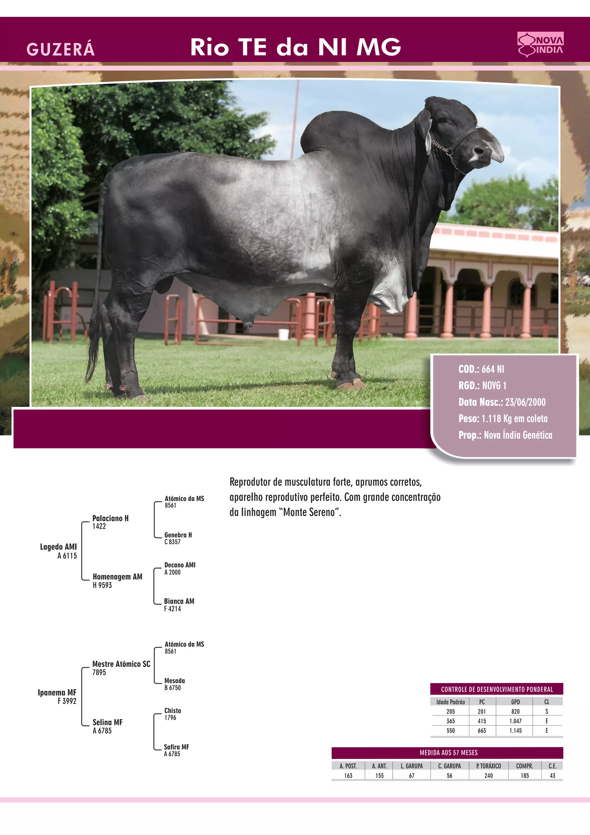 Catalogo de raçadores para corte 2009