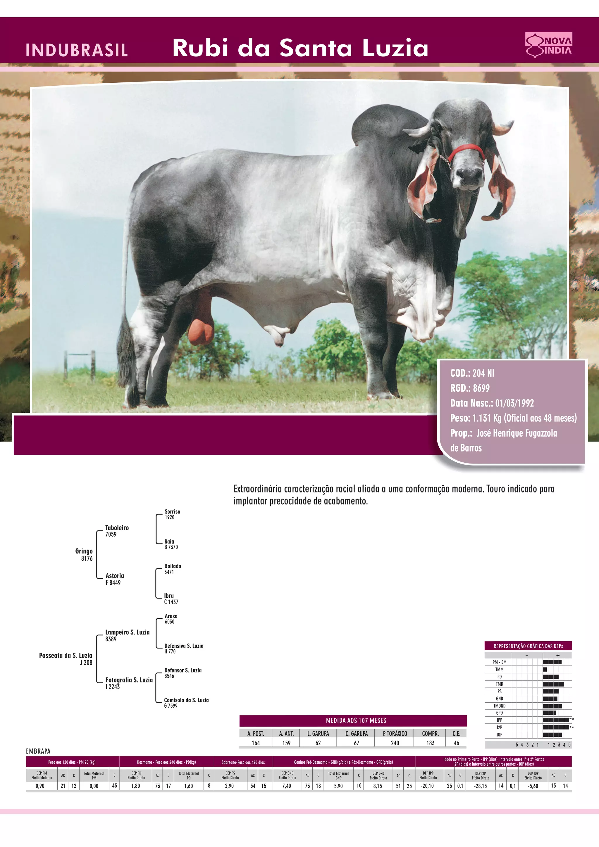 Catalogo de raçadores para corte 2009