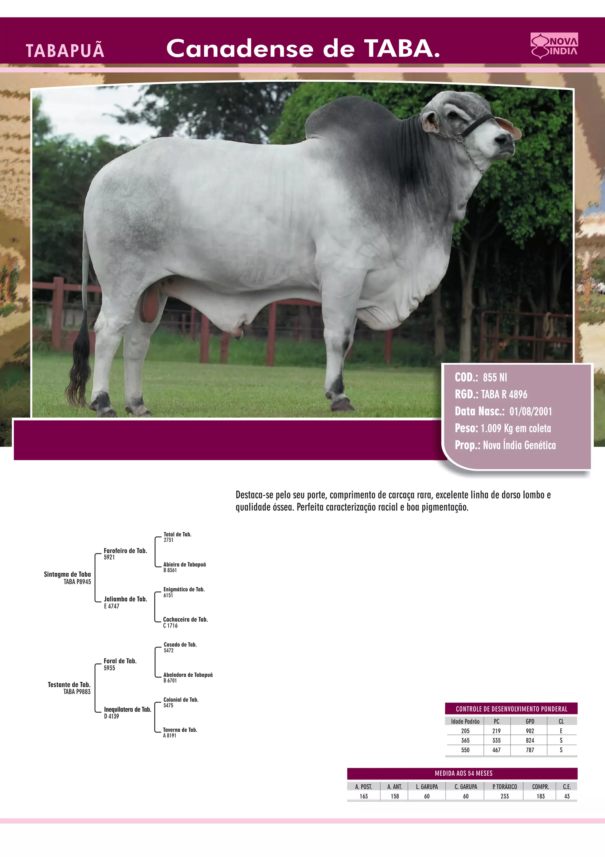 Catalogo de raçadores para corte 2009