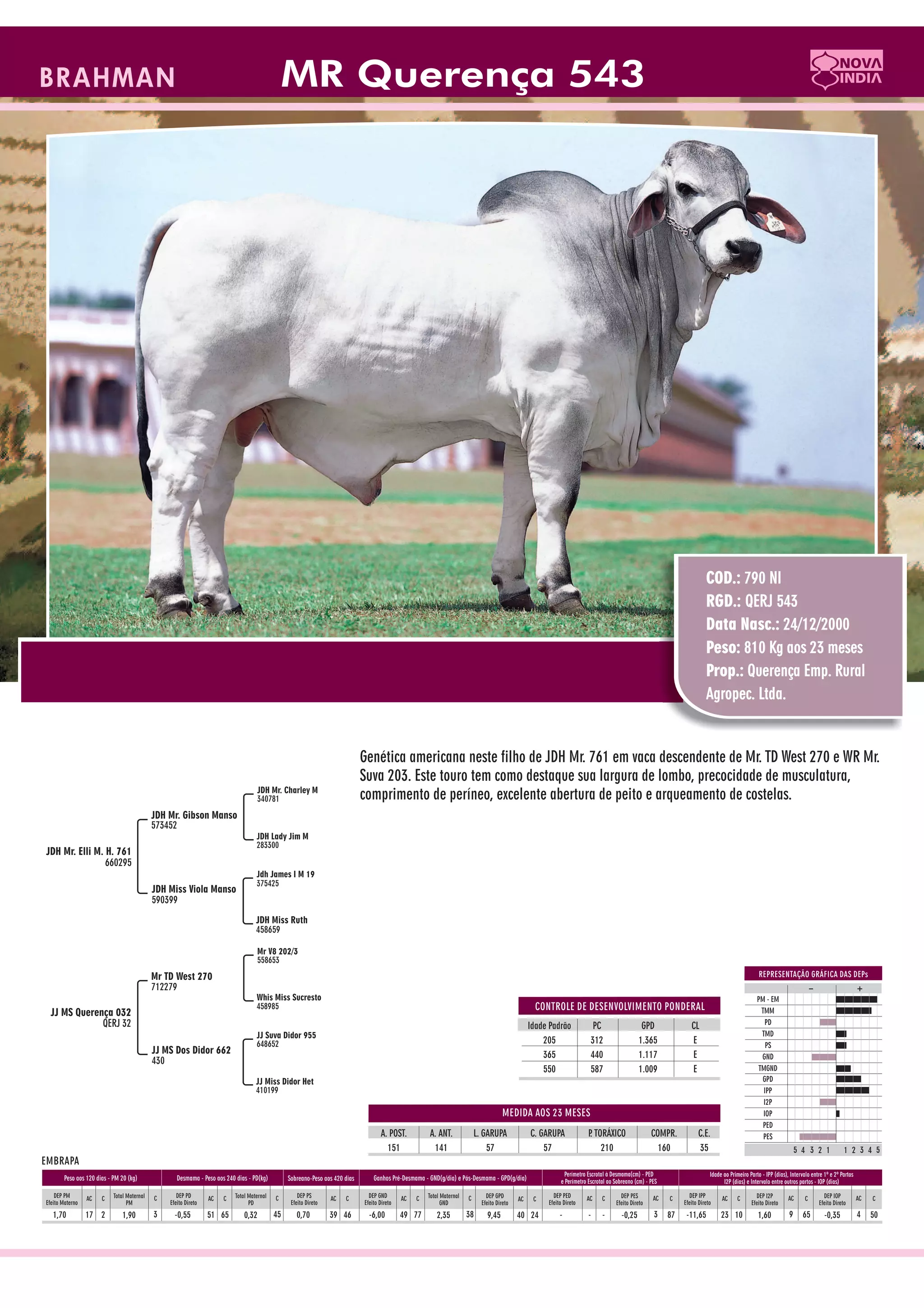 Catalogo de raçadores para corte 2009