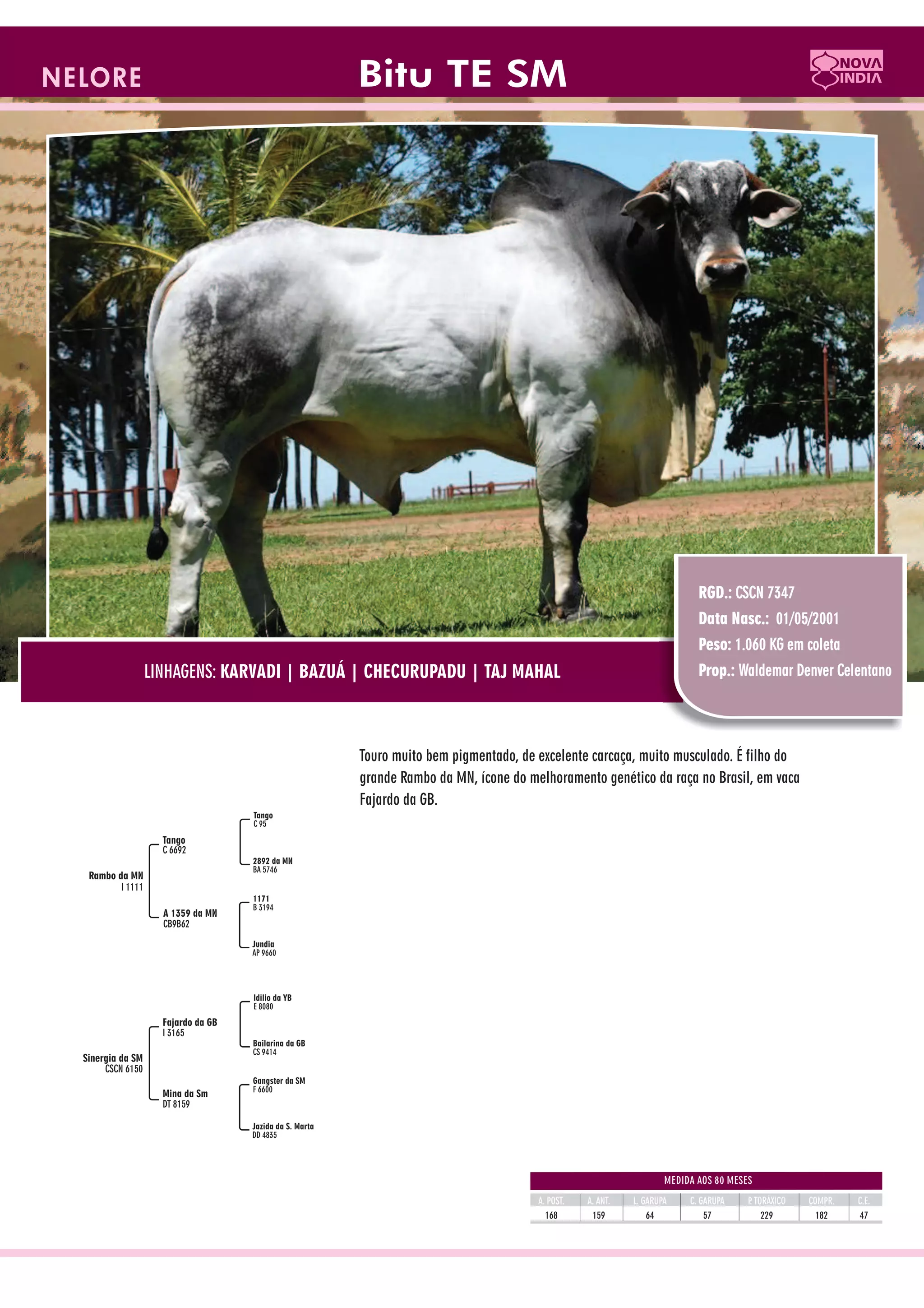 Catalogo de raçadores para corte 2009