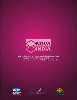 Raçadores para corte 2009 Brahman