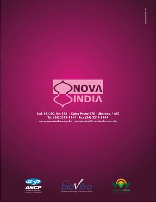 Raçadores para corte 2009 Tabapua