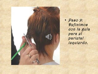 • Paso 9:
  Definimos
  con la guía
  para el
  parietal
  izquierdo.
 