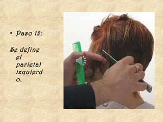 • Paso 12:

Se define
  el
  parietal
  izquierd
  o. 
 