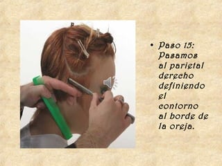 • Paso 15:
  Pasamos
  al parietal
  derecho
  definiendo
  el
  contorno
  al borde de
  la oreja.
 