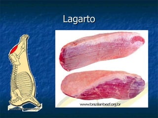 Lagarto 