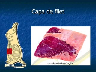 Capa de filet
 
