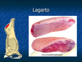Lagarto 