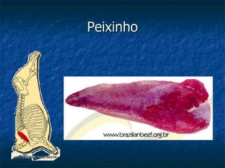 Peixinho 