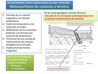 METAMORFISMO COMO CONSECUENCIA DE UNA INTRUSIÓN
       Metamorfismo de contacto o térmico
                                    En los cortes geológicos siempre diremos:
1. Intrusión de un material         Intrusión de X y formación contemporánea de la
   magmático con elevada            aureola de metamorfismo de contacto.
   temperatura
2. Cesión de temperatura a los                                   Intrusión de roca plutónica (6)
   materiales intruidos.
3. Modificación de los materiales
   próximos a la intrusión por
   aumento de temperatura.
4. Formación de una aureola de
   metamorfismo de contacto
   alrededor de la intrusión..
5. Puede presentar bordes
   irregulares

    Rocas que se forman en
    el metamorfismo de
    contacto o térmico:                                                                  @mmonites

    1. Corneanas
    2. Cornubianitas                   Aureola metamórfica (1)
 