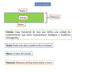 En un estrato

             Techo

             Estrato                          Potencia


            Muro


Estrato: Capa horizontal de roca que define una unidad de
sedimentación que tiene características litológicas y fosilíferas
homogéneas.


Techo: Parte más alta y moderna de un estrato


Muro: La base del estrato


Potencia: Distancia vertical entre techo y muro
 