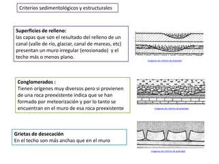Criterios sedimentológicos y estructurales



Superficies de relleno:
las capas que son el resultado del relleno de un
canal (valle de río, glaciar, canal de mareas, etc)
presentan un muro irregular (erosionado) y el
techo más o menos plano.
                                                      Imágenes de criterios de polaridad




 Conglomerados :
 Tienen orígenes muy diversos pero si provienen
 de una roca preexistente indica que se han
 formado por meteorización y por lo tanto se
 encuentran en el muro de esa roca preexistente             Imágenes de criterios de polaridad




Grietas de desecación
En el techo son más anchas que en el muro
                                                         Imágenes de criterios de polaridad
 