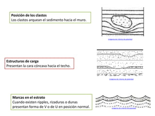 Posición de los clastos
   Los clastos arquean el sedimento hacia el muro.



                                                     Imágenes de criterios de polaridad




Estructuras de carga
Presentan la cara cóncava hacia el techo.


                                                      Imágenes de criterios de polaridad




   Marcas en el estrato
   Cuando existen ripples, rizaduras o dunas
   presentan forma de V o de U en posición normal.        Imágenes de criterios de polaridad
 