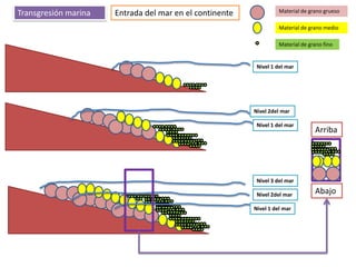 Transgresión marina   Entrada del mar en el continente             Material de grano grueso

                                                                   Material de grano medio

                                                                   Material de grano fino


                                                          Nivel 1 del mar




                                                         Nivel 2del mar

                                                          Nivel 1 del mar
                                                                                 Arriba




                                                          Nivel 3 del mar

                                                          Nivel 2del mar         Abajo
                                                         Nivel 1 del mar
 