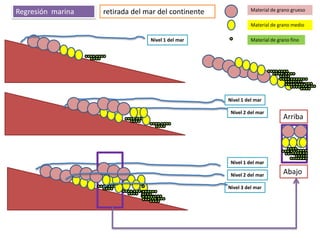 Regresión marina   retirada del mar del continente             Material de grano grueso

                                                               Material de grano medio

                                 Nivel 1 del mar               Material de grano fino




                                                     Nivel 1 del mar

                                                      Nivel 2 del mar
                                                                             Arriba




                                                      Nivel 1 del mar

                                                      Nivel 2 del mar        Abajo
                                                     Nivel 3 del mar
 