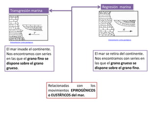 Regresión marina
  Transgresión marina




                                                                     Interpretación cortes geológicos
  Interpretación cortes geológicos



El mar invade el continente.
Nos encontramos con series                                   El mar se retira del continente.
en las que el grano fino se                                  Nos encontramos con series en
dispone sobre el grano                                       las que el grano grueso se
grueso.                                                      dispone sobre el grano fino.



                                     Relacionadas    con   los
                                     movimientos EPIROGÉNICOS
                                     o EUSTÁTICOS del mar.
 
