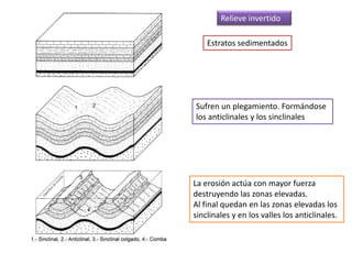 Relieve invertido

    Estratos sedimentados




Sufren un plegamiento. Formándose
los anticlinales y los sinclinales




La erosión actúa con mayor fuerza
destruyendo las zonas elevadas.
Al final quedan en las zonas elevadas los
sinclinales y en los valles los anticlinales.
 