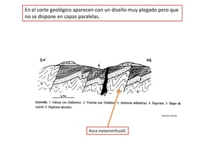 En el corte geológico aparecen con un diseño muy plegado pero que
no se dispone en capas paralelas.
Antonio Arenal
Roca metamórfica(4)
 