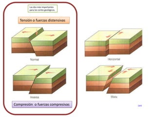 Tensión o fuerzas distensivas
Compresión o fuerzas compresivas Carol
Las dos más importantes
para los cortes geológicos.
 