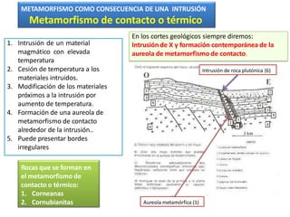 Aureola metamórfica (1)
Intrusión de roca plutónica (6)
METAMORFISMO COMO CONSECUENCIA DE UNA INTRUSIÓN
Metamorfismo de contacto o térmico
1. Intrusión de un material
magmático con elevada
temperatura
2. Cesión de temperatura a los
materiales intruidos.
3. Modificación de los materiales
próximos a la intrusión por
aumento de temperatura.
4. Formación de una aureola de
metamorfismo de contacto
alrededor de la intrusión..
5. Puede presentar bordes
irregulares
En los cortes geológicos siempre diremos:
Intrusión de X y formación contemporánea de la
aureola de metamorfismo de contacto.
Rocas que se forman en
el metamorfismo de
contacto o térmico:
1. Corneanas
2. Cornubianitas
 