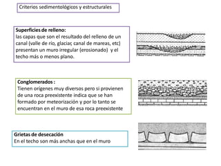 Superficies de relleno:
las capas que son el resultado del relleno de un
canal (valle de río, glaciar, canal de mareas, etc)
presentan un muro irregular (erosionado) y el
techo más o menos plano.
Criterios sedimentológicos y estructurales
Conglomerados :
Tienen orígenes muy diversos pero si provienen
de una roca preexistente indica que se han
formado por meteorización y por lo tanto se
encuentran en el muro de esa roca preexistente
Grietas de desecación
En el techo son más anchas que en el muro
 