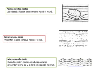 Posición de los clastos
Los clastos arquean el sedimento hacia el muro.
Estructuras de carga
Presentan la cara cóncava hacia el techo.
Marcas en el estrato
Cuando existen ripples, rizaduras o dunas
presentan forma de V o de U en posición normal.
 