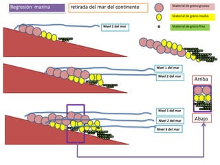 Abajo
Arriba
Nivel 1 del mar
Nivel 3 del mar
Nivel 2 del mar
Nivel 1 del mar
Nivel 1 del mar
Nivel 2 del mar
Material de grano grueso
Material de grano medio
Material de grano fino
Regresión marina retirada del mar del continente
 