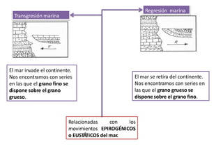 Transgresión marina
El mar invade el continente.
Nos encontramos con series
en las que el grano fino se
dispone sobre el grano
grueso.
Regresión marina
El mar se retira del continente.
Nos encontramos con series en
las que el grano grueso se
dispone sobre el grano fino.
Relacionadas con los
movimientos EPIROGÉNICOS
o EUSTÁTICOS del mar.
 