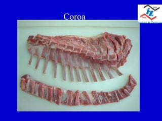 Coroa