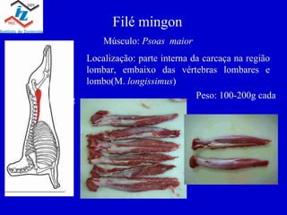 Filé mingon Músculo: Psoas maior Localização: parte interna da carcaça na região lombar, embaixo das vértebras lombares e lombo(M. longissimus ) Peso: 100-200g Peso: 100-200g cada