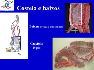 Costela e baixos Baixos: músculo abdominais Costela Ripas