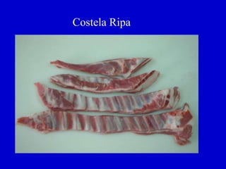Costela Ripa