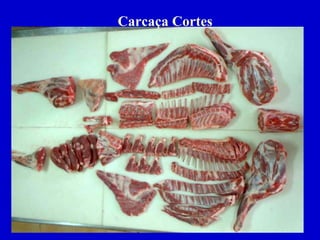 Carcaça Cortes