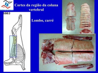 Cortes da região da coluna vertebral Lombo, carré