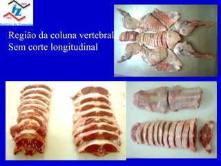 Região da coluna vertebral Sem corte longitudinal