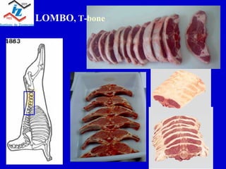 LOMBO , T-bone