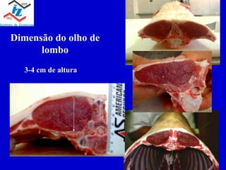Dimensão do olho de lombo 3-4 cm de altura