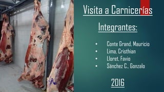 Visita a Carnicerías
Integrantes:
• Conte Grand, Mauricio
• Lima, Cristhian
• Lloret, Favio
• Sánchez C., Gonzalo
2016
 