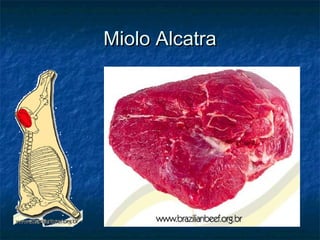 MMiioolloo AAllccaattrraa 
 