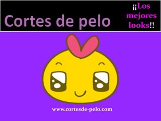 ¡¡Los
mejores
looks!!

www.cortesde-pelo.com

 