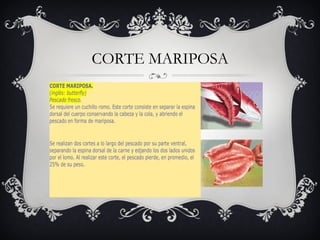 CORTE MARIPOSA 