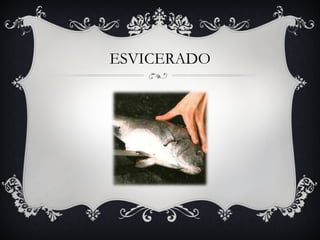 ESVICERADO 