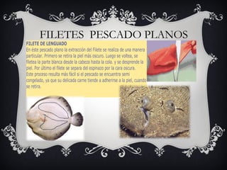 FILETES  PESCADO PLANOS 