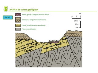 0 1 2
km
0 m
50 m
100 m
Análisis de cortes geológicos
Corte 7
Arenas, gravas y bloques (abanico aluvial)
Areniscas y conglomerados terciarios
Calizas carstificadas con ammonites
Pizarras con trilobites
 