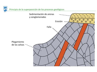 Principio de la superposición de los procesos geológicos
Plegamiento
de las calizas
Falla
Erosión
Sedimentación de arenas
y conglomerados
 