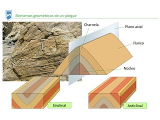 Elementos geométricos de un pliegue
Plano axial
Flanco
Núcleo
Charnela
AnticlinalSinclinal
 