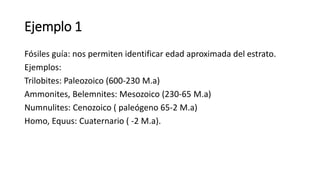Ejemplo 1
Fósiles guía: nos permiten identificar edad aproximada del estrato.
Ejemplos:
Trilobites: Paleozoico (600-230 M.a)
Ammonites, Belemnites: Mesozoico (230-65 M.a)
Numnulites: Cenozoico ( paleógeno 65-2 M.a)
Homo, Equus: Cuaternario ( -2 M.a).
 