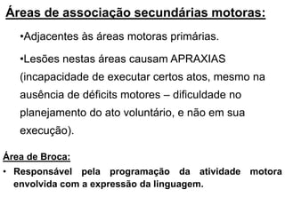 Áreas de associação secundárias motoras:
•Adjacentes às áreas motoras primárias.
•Lesões nestas áreas causam APRAXIAS
(incapacidade de executar certos atos, mesmo na
ausência de déficits motores – dificuldade no
planejamento do ato voluntário, e não em sua
execução).
Área de Broca:
• Responsável pela programação da atividade motora
envolvida com a expressão da linguagem.

 