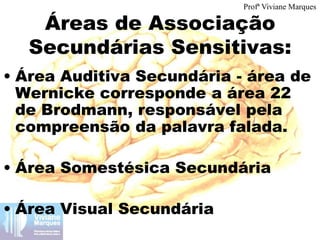 Áreas de Associação
Secundárias Sensitivas:
• Área Auditiva Secundária - área de
Wernicke corresponde a área 22
de Brodmann, responsável pela
compreensão da palavra falada.
• Área Somestésica Secundária
• Área Visual Secundária
Profª Viviane Marques
 